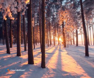 Quiet winter forest with snow-covered trees and sunlight filtering through, symbolizing rest, reflection, and clarity.