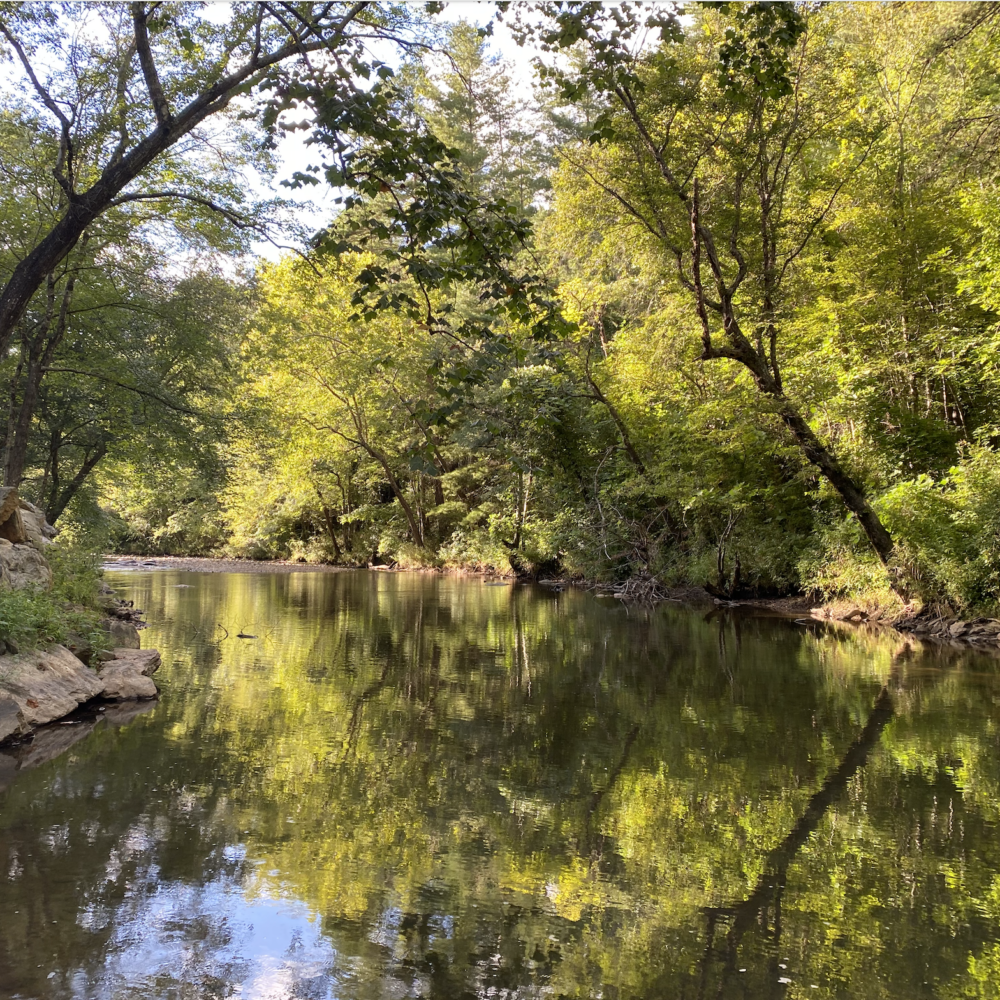 Resilience and change reflected in a peaceful North Carolina river