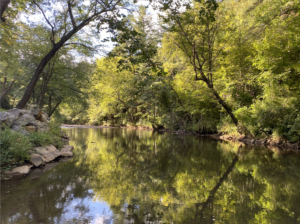 Resilience and change reflected in a peaceful North Carolina river