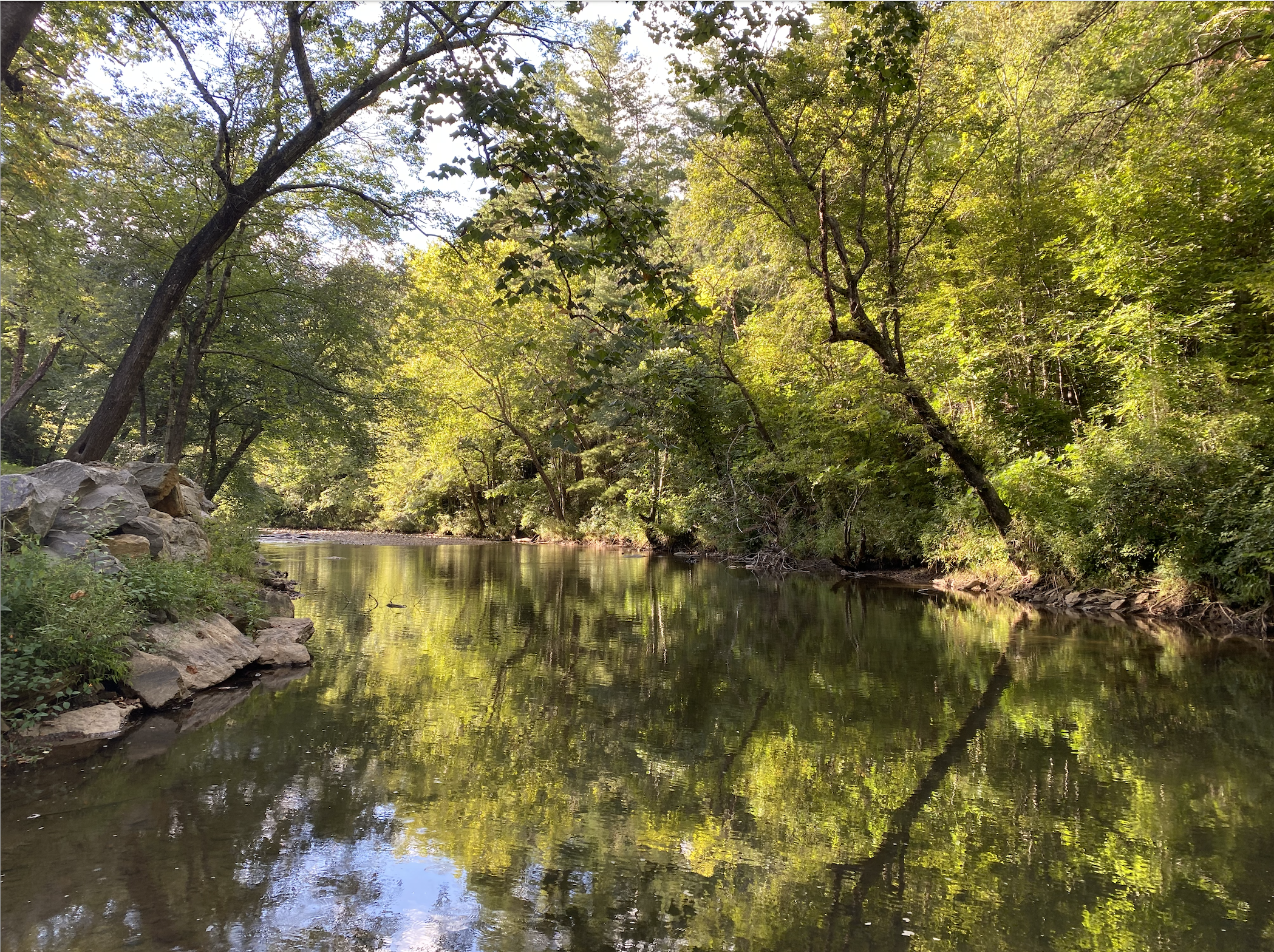 Resilience and change reflected in a peaceful North Carolina river